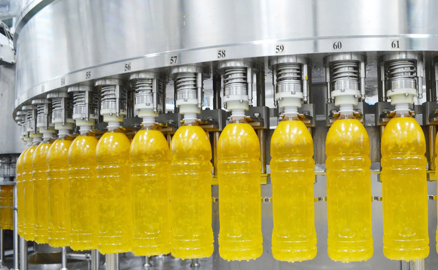 jpg100-t3-scale100 (2)